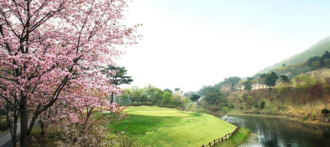청평 마이다스CC 이미지