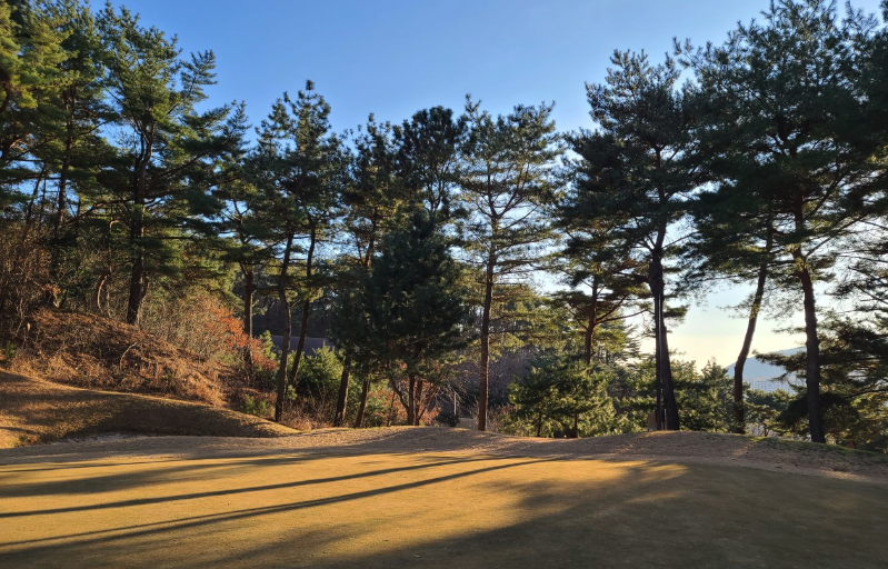 BNBK 파3 이미지