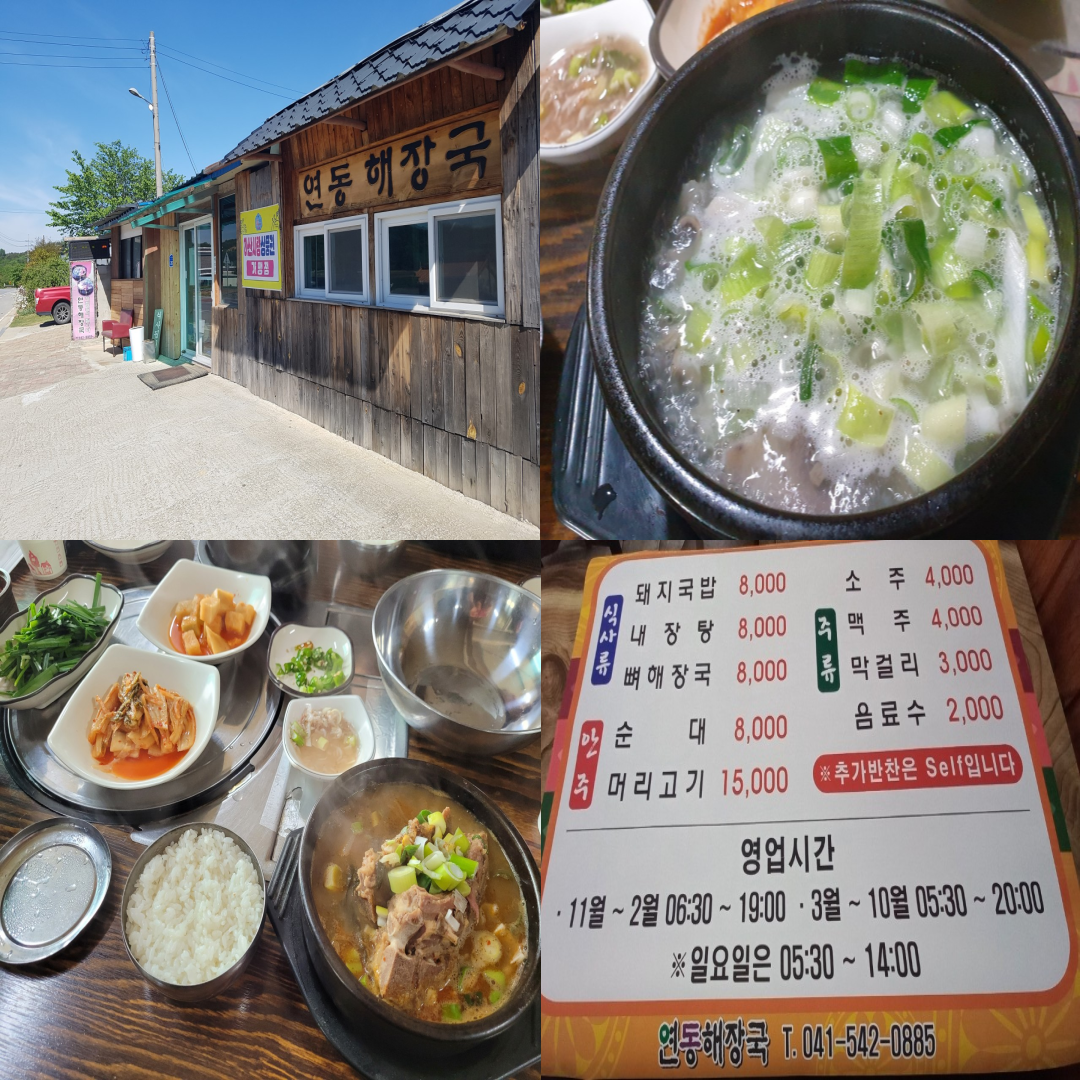 도고CC 맛집이미지